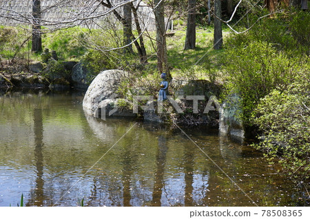 春天的遠野太淵 78508365