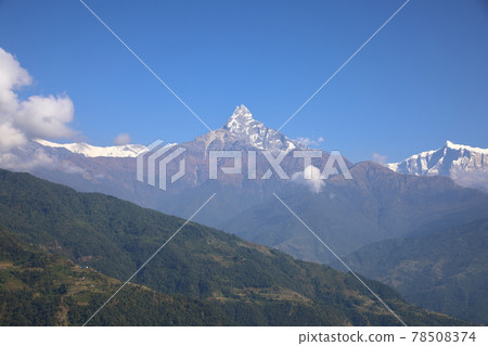 Machhapuchhre (Nepal) seen from near Dhampus Machhapuchhre (Nepal) seen from near Dhampus 78508374