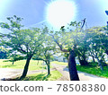 A photo of a park on a sunny day like the illustration 78508380