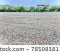 Park floor seen from the ground 78508381