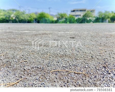 Park floor seen from the ground Park floor seen from the ground 78508381