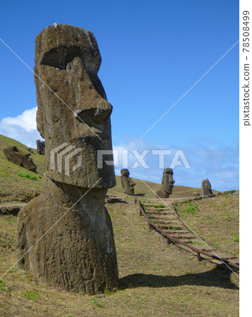 智利復活節島上的 Rano Raraku 製造工廠內有許多摩艾雕像 78508499