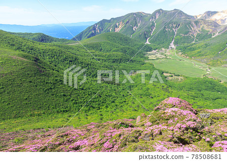 Miyamakirishi and the Kuju Mountain Range, Mount Heiji, Oita Prefecture Miyamakirishi and the Kuju Mountain Range, Mount Heiji, Oita Prefecture 78508681