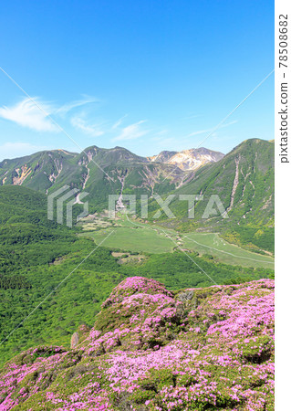 大分縣平地山深山霧島山和九重山脈 78508682