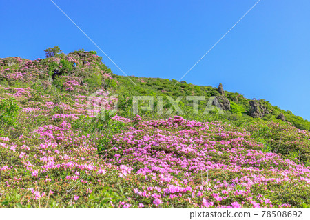 Mount Heiji, Miyamakirishi, Oita Prefecture Mount Heiji, Miyamakirishi, Oita Prefecture 78508692