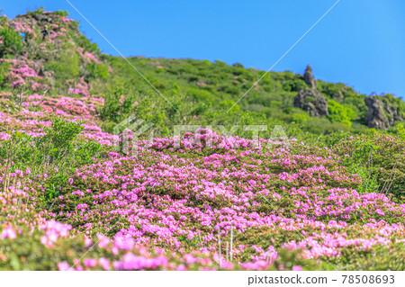 大分縣宮山霧島市平地山 大分縣宮山霧島市平地山 78508693