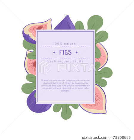 Ripe figs label design. Sweet figs fruit, whole and half sliced with leaves vector hand drawn logo white background. 78508695