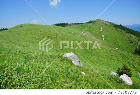 Scenery of the Iwashi Plateau in early summer, Kimino-cho, Kaiso-gun, Wakayama Prefecture Scenery of the Iwashi Plateau in early summer, Kimino-cho, Kaiso-gun, Wakayama Prefecture 78508779
