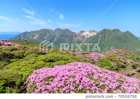 大分縣平地山深山霧島山和九重山脈 78508788