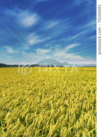 Autumn countryside 78509881