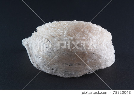 Bird's nest, a luxury ingredient in Chinese cuisine 78510048