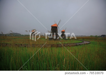 Sorae Wetland 78510070