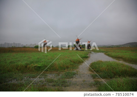 Sorae Wetland Sorae Wetland 78510074