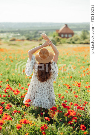 Girl wearing white dress and straw hat walks among red poppy flowers on the sunset. 78510252