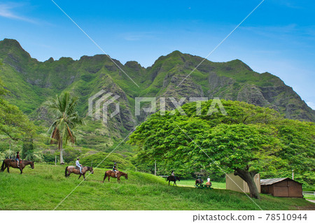 夏威夷瓦胡島古蘭尼牧場騎馬之旅 78510944