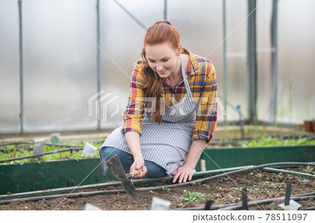 Woman in apron crouched with hoe near garden bed 78511097