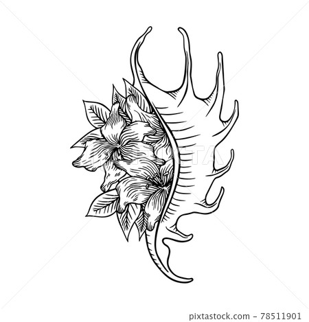 Seashell with lilies thin line icon, animal and underwater, shell sign vector graphics, a linear pattern on a white background, eps 10. Seashell with lilies thin line icon, animal and underwater, shell sign vector graphics, a linear pattern on a white background, eps 10. 78511901