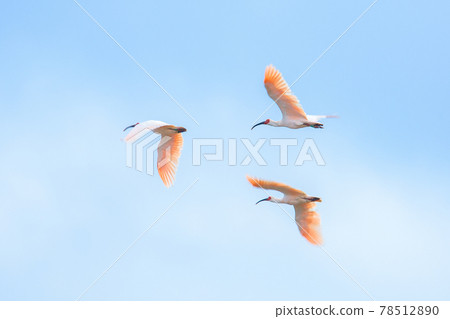 宜必思航班 1 78512890