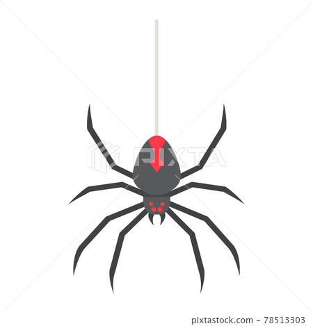 Spider flat icon, halloween and scary, danger 78513303
