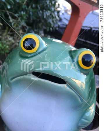 陶蛙 陶蛙 78513316