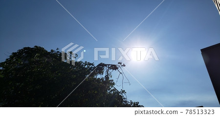 隨著藍天和太陽 隨著藍天和太陽 78513323