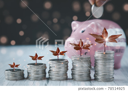 Close up of male hand stacking coins and Trees growing on coin in dark background ,Business Finance and Money, plant growing up on coins and investment budget, saving money investment.concept Close up of male hand stacking coins and Trees growing on coin in dark background ,Business Finance and Money, plant growing up on coins and investment budget, saving money investment.concept 78514925