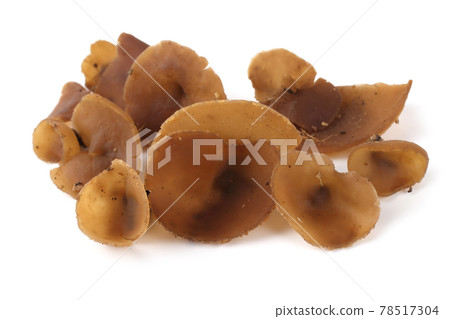 Peziza mushroom isolated on white background 78517304