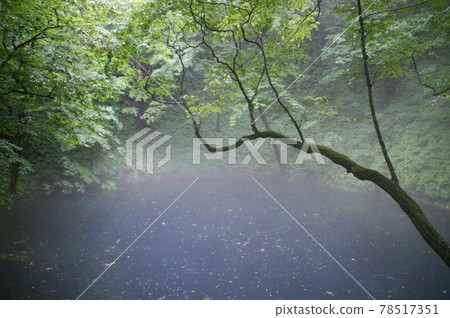 Aoike Aoike 78517351