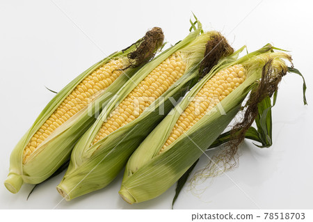 Corn with hair on a white background 78518703
