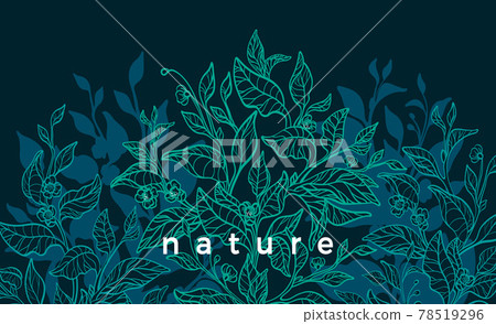 Nature background Vector tea tree Art illustration Nature background Vector tea tree Art illustration 78519296