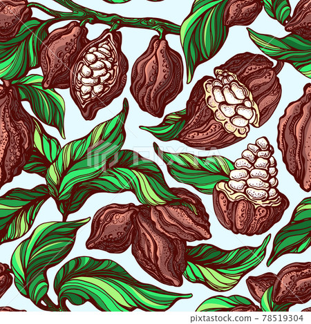 Cacao seamless pattern. Vector nature background 78519304