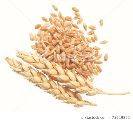 Wheat on white Wheat on white 78519893