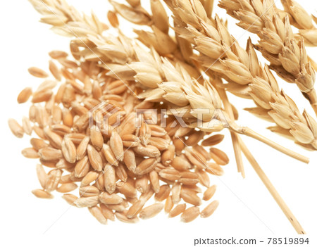 Wheat on white 78519894