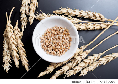 Wheat on black 78519900
