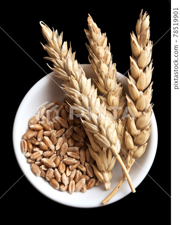 Wheat on black 78519901