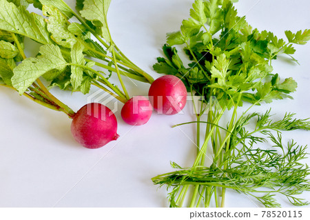 Three fruits of red radish with green leaves and bunches of green parsley. 78520115