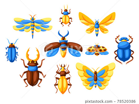 Background with insects. Stylized butterflies, beetles and dragonflies. Background with insects. Stylized butterflies, beetles and dragonflies. 78520386
