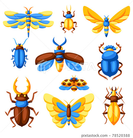 Set of insects. Stylized butterflies, beetles and dragonflies. Set of insects. Stylized butterflies, beetles and dragonflies. 78520388