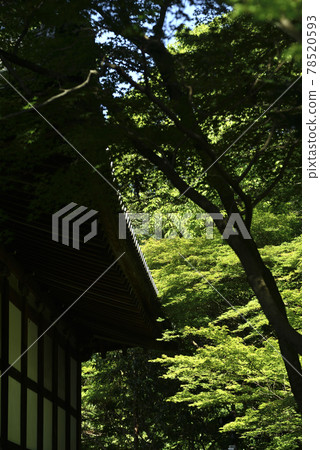 虎山山神寶寺 虎山山神寶寺 78520593