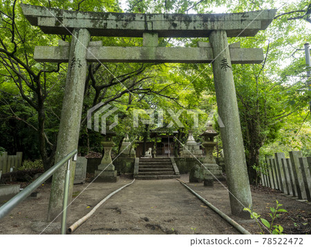 Fresh green and shrine's torii 78522472