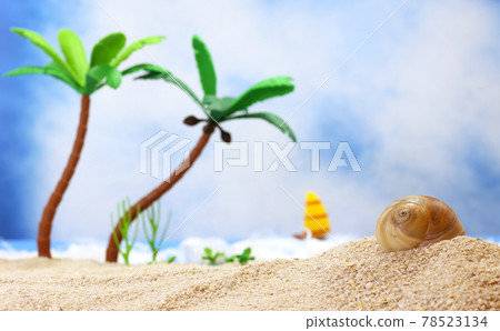 Seashell on Tropical Beach Seashell on Tropical Beach 78523134
