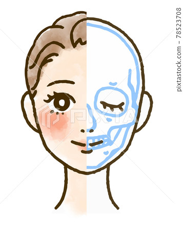 Cross-section illustration of the facial skeleton and skull 78523708
