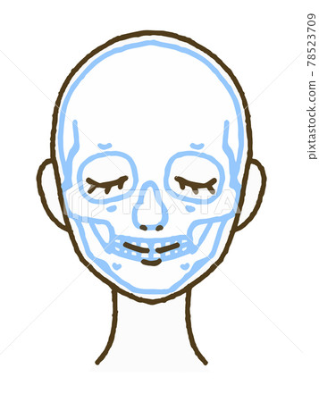 Illustration of the facial skeleton and skull 78523709
