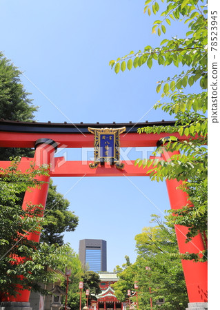 富岡八幡宮（東京都江東區） 大鳥居 78523945