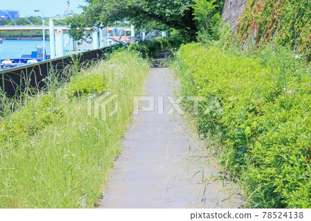 農村通路 78524138