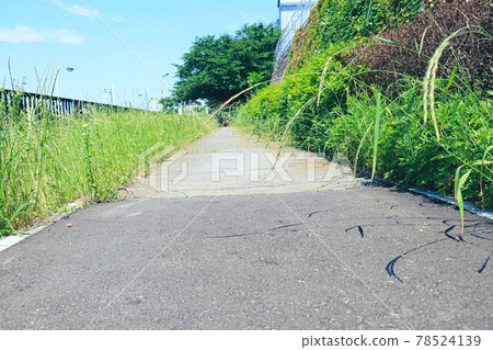 阿澤路林道 78524139