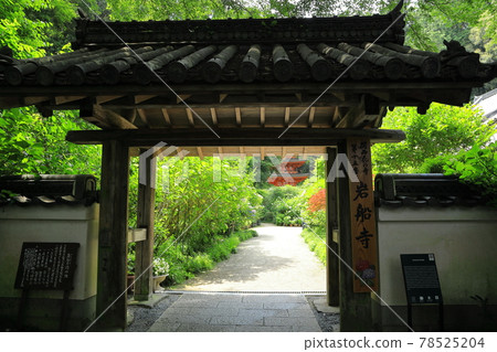 關西花寺 京都/岩船寺三門 78525204
