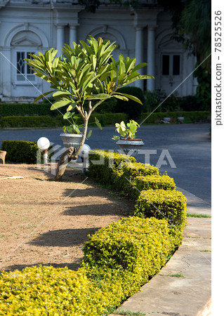 Landscaping at Jaivilas Museum 78525526