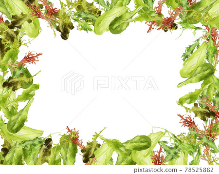 Rectangular frame with watercolor baby leaf illustration 78525882