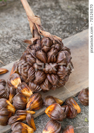 nypa palm fruit in Thailand, close up of nypa seed in nature 78526870